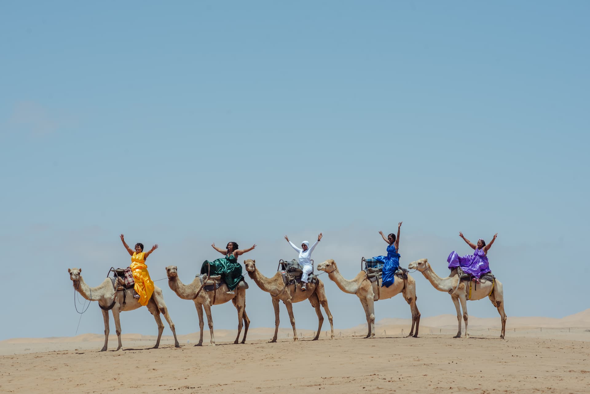 Golden desert landscape on a Black Basket Travel Namibia journey