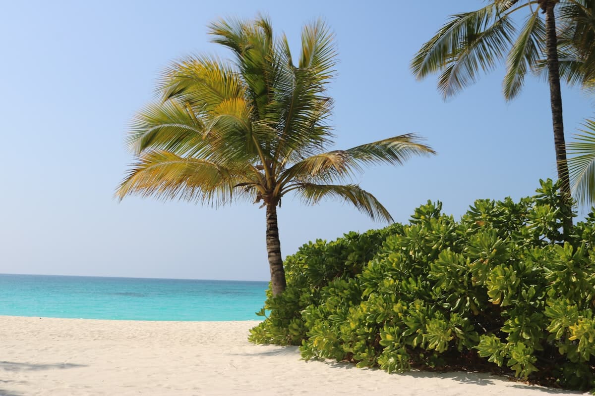 Zanzibar travel destination