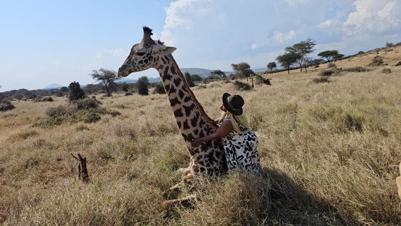 Woman embracing a giraffe on the African savanna — safari travel with Black Basket Travel